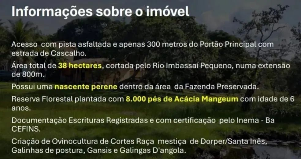 Fazenda 38 hectares - Recanto Patioba - Foto 5