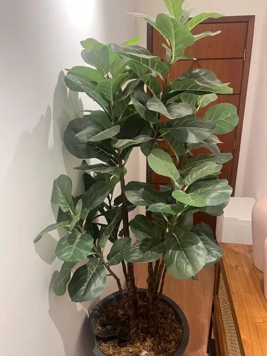 Planta artificial de Chão Ficus Lyrata - 180CM - Foto 2