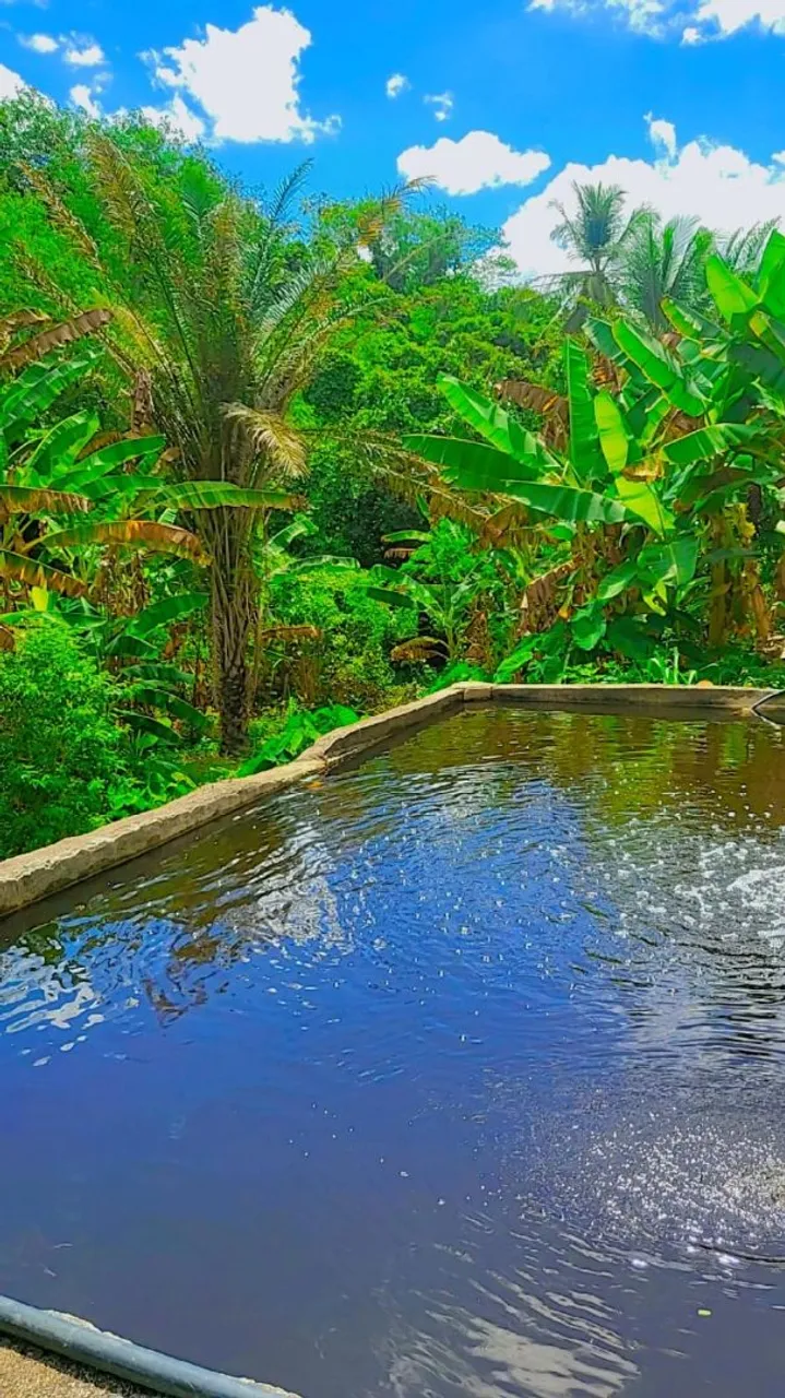 Lote 27.900m2-Nanuque- Minas Gerais, 2 piscina natural, 3 casas simples-nascente-250 mil