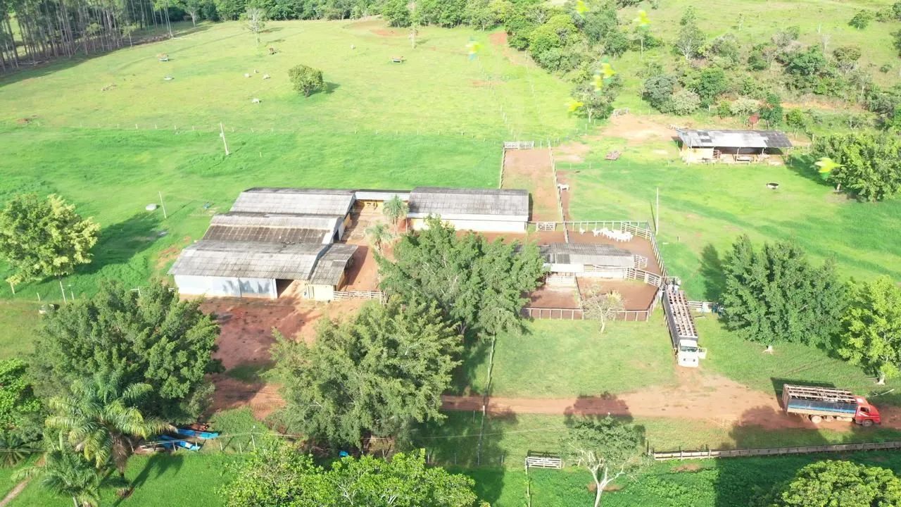 Fazenda modelo 165 Alqueires! - Foto 3