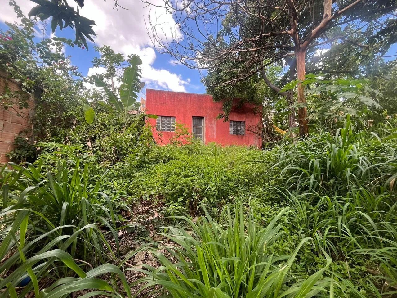 foto - Belo Horizonte - Tupi B