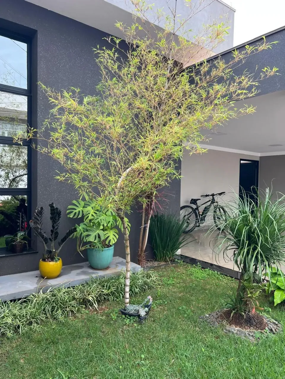 Casa Condomínio em Jaú