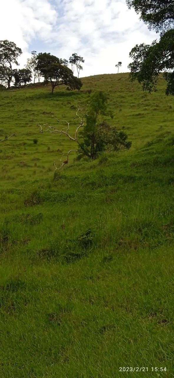 Sítio são Luís do Paraitinga  - Foto 3