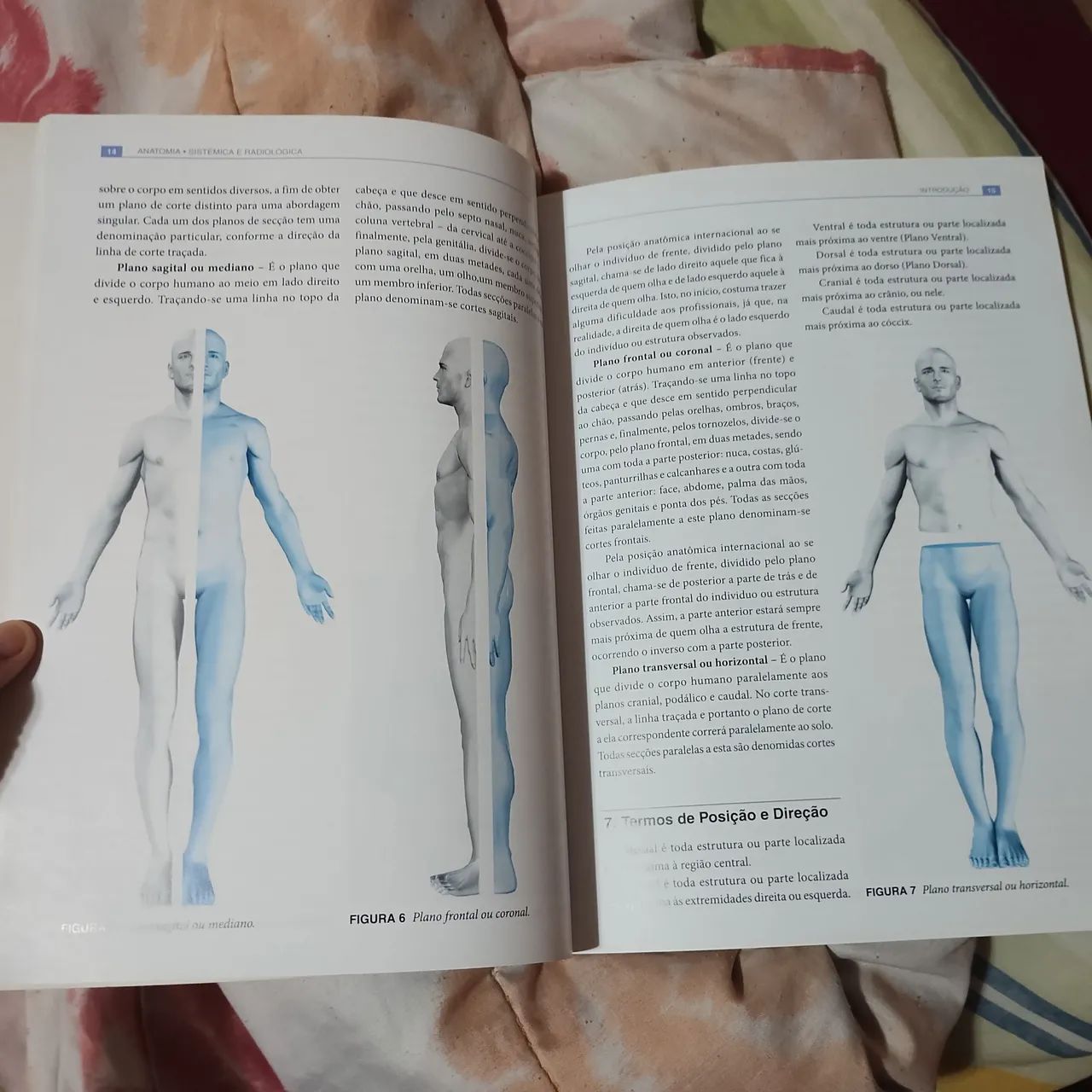 Livro de anatomia  - Foto 2
