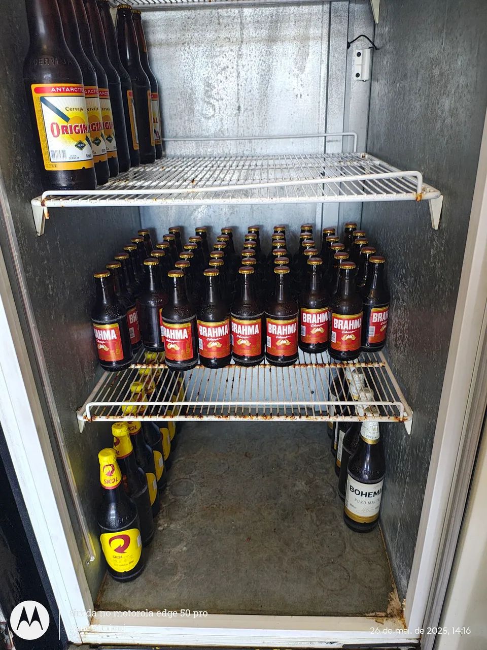 Freezer Cervejeiro - Foto 3