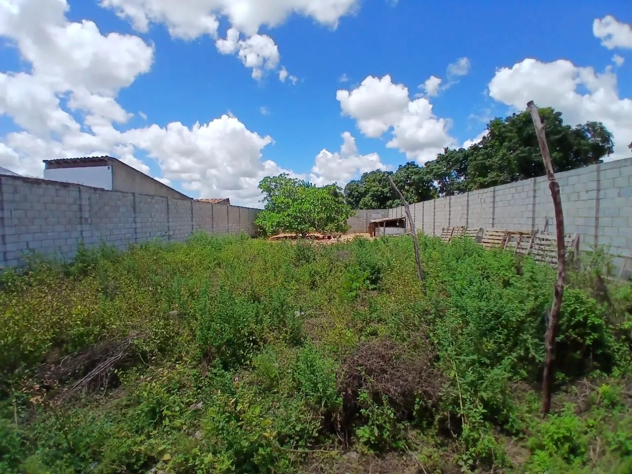 TERRENO 14x40 MURADO COM AGUA ENCANADA E POÇO ARTESIANO, JÁ MURADO - Foto 5