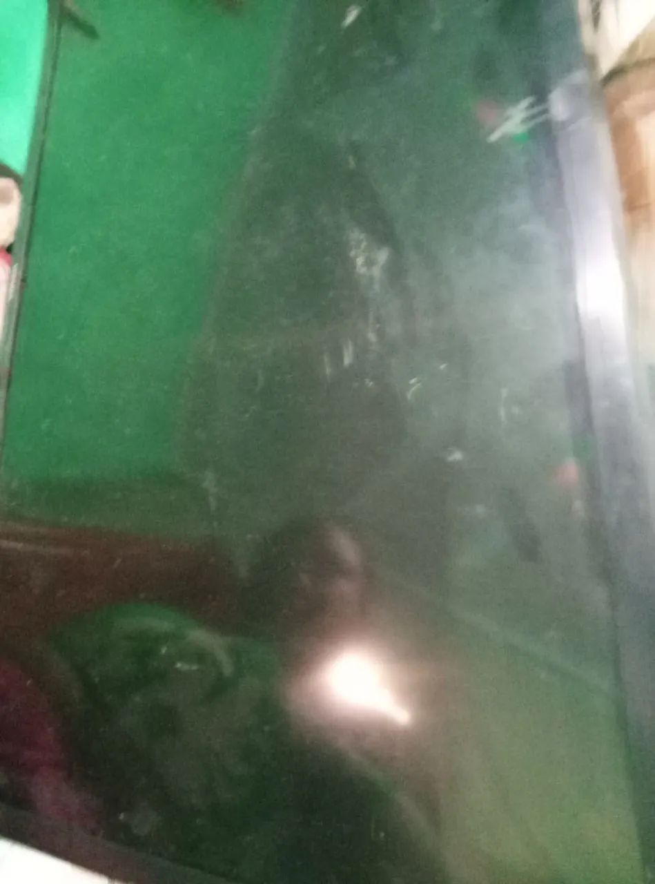 Vendo tv 32 polegadas a tela ficou escura e não voltou ao normal 