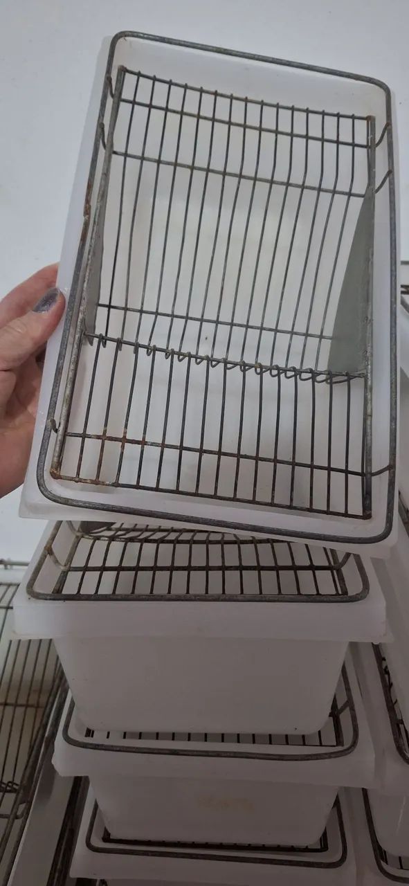 Caixa bioterio para Hamster  - Foto 3