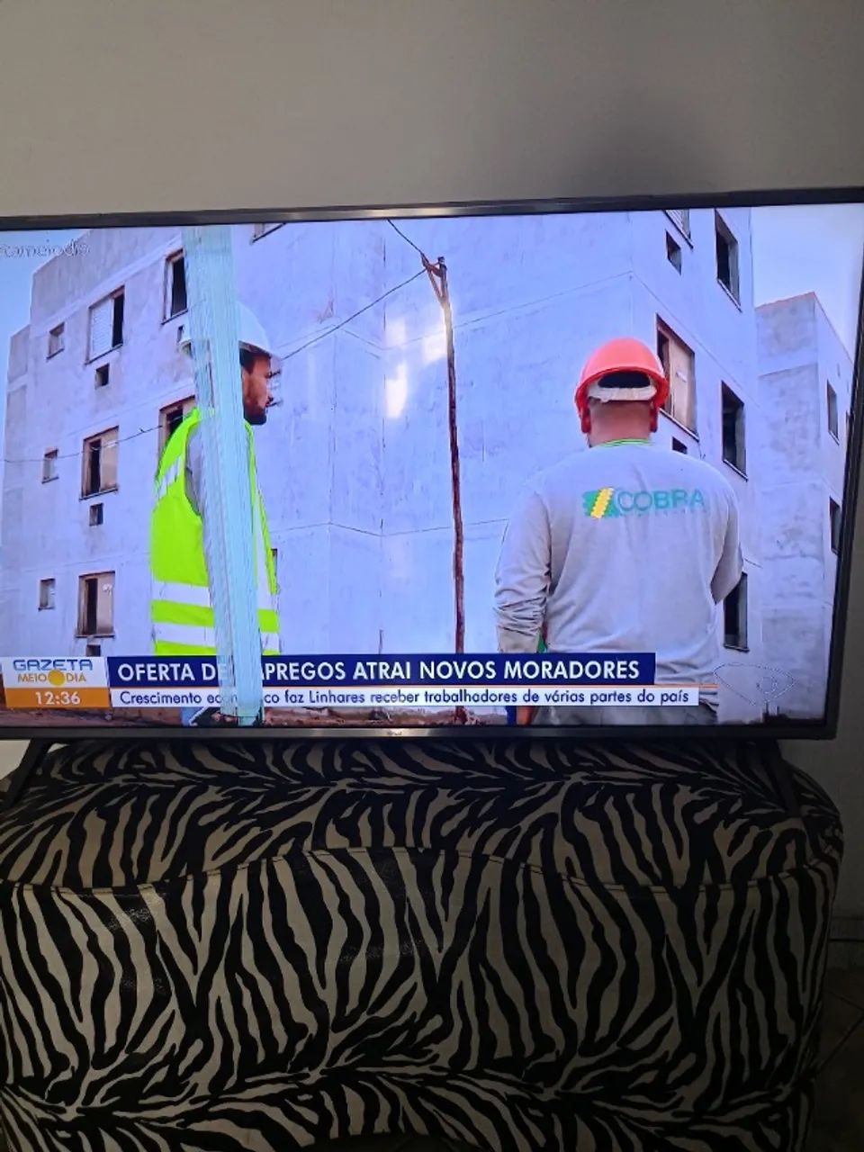 Televisão 