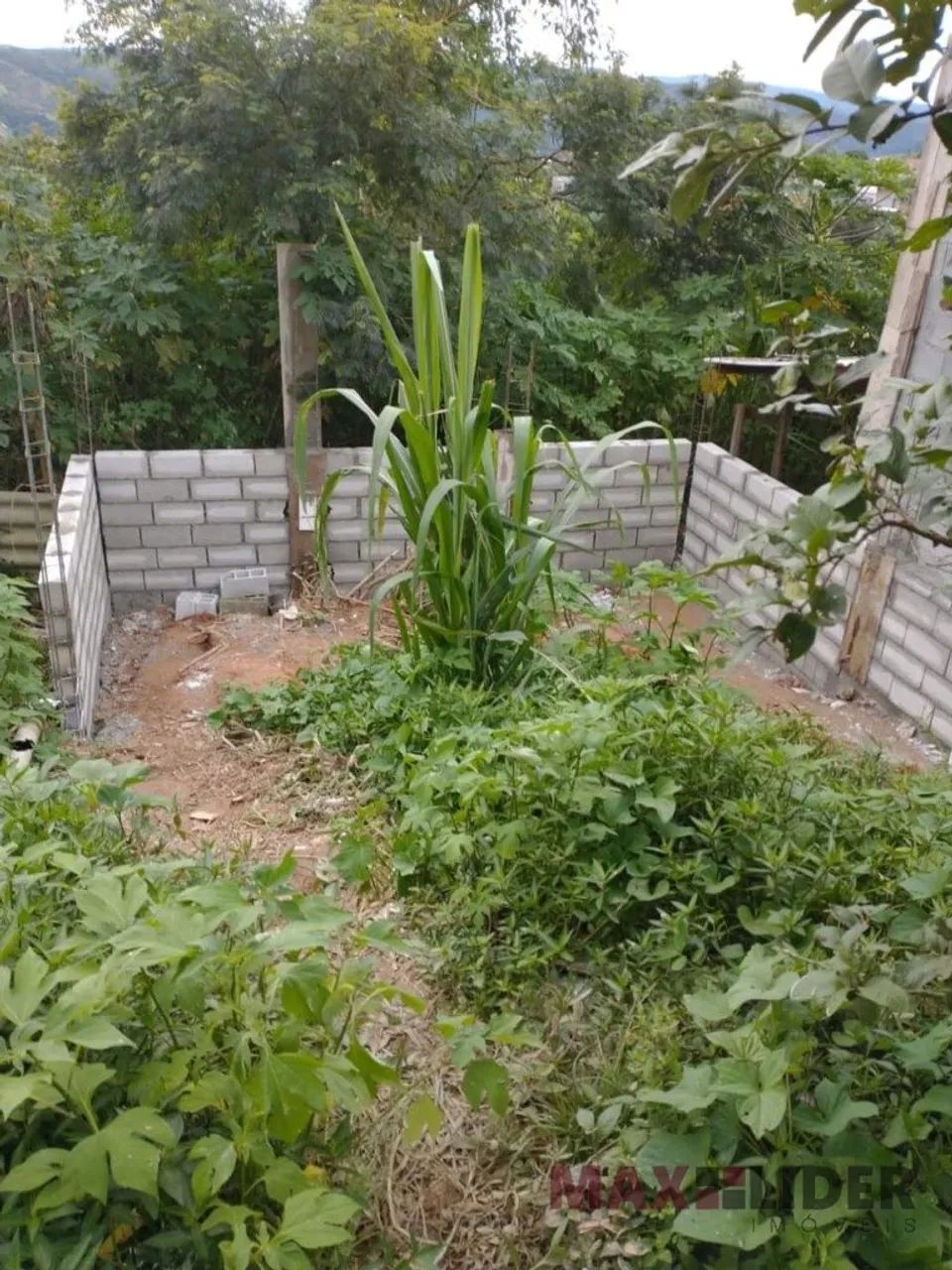 Terreno à Venda - Pirapora do Bom Jesus - Foto 3
