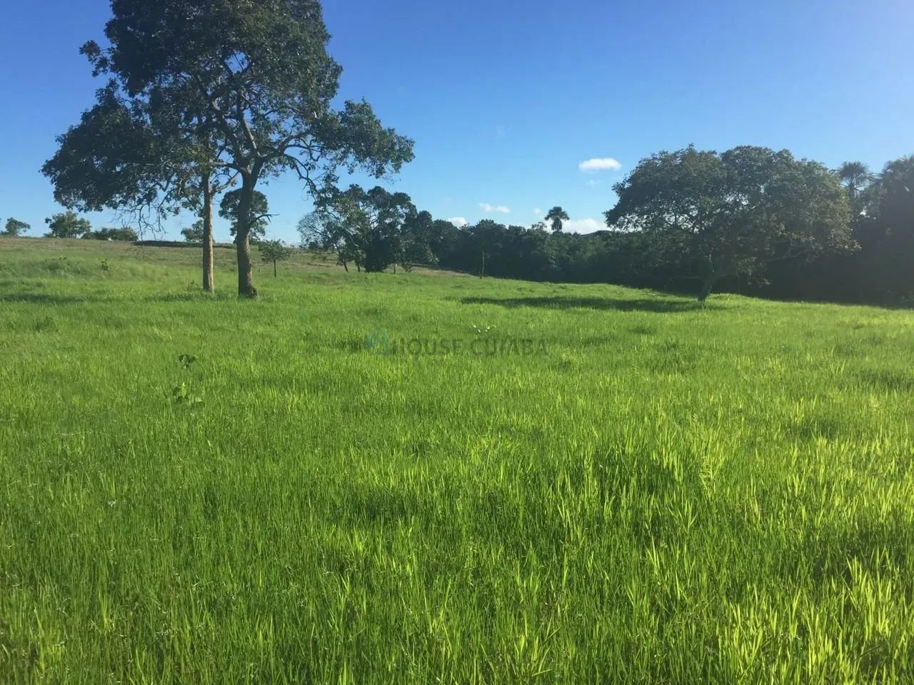 FAZENDA À VENDA  REGIÃO DE POCONÉ / MT - Foto 3