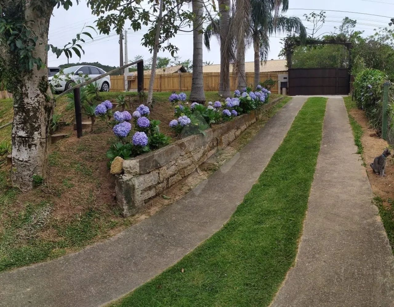 Terreno com 6.500m², Ferrugem- Garopaba SC - Foto 3