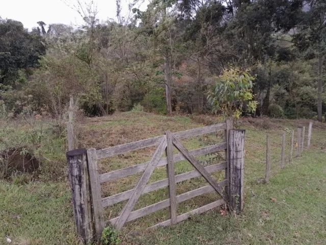 Terras raras