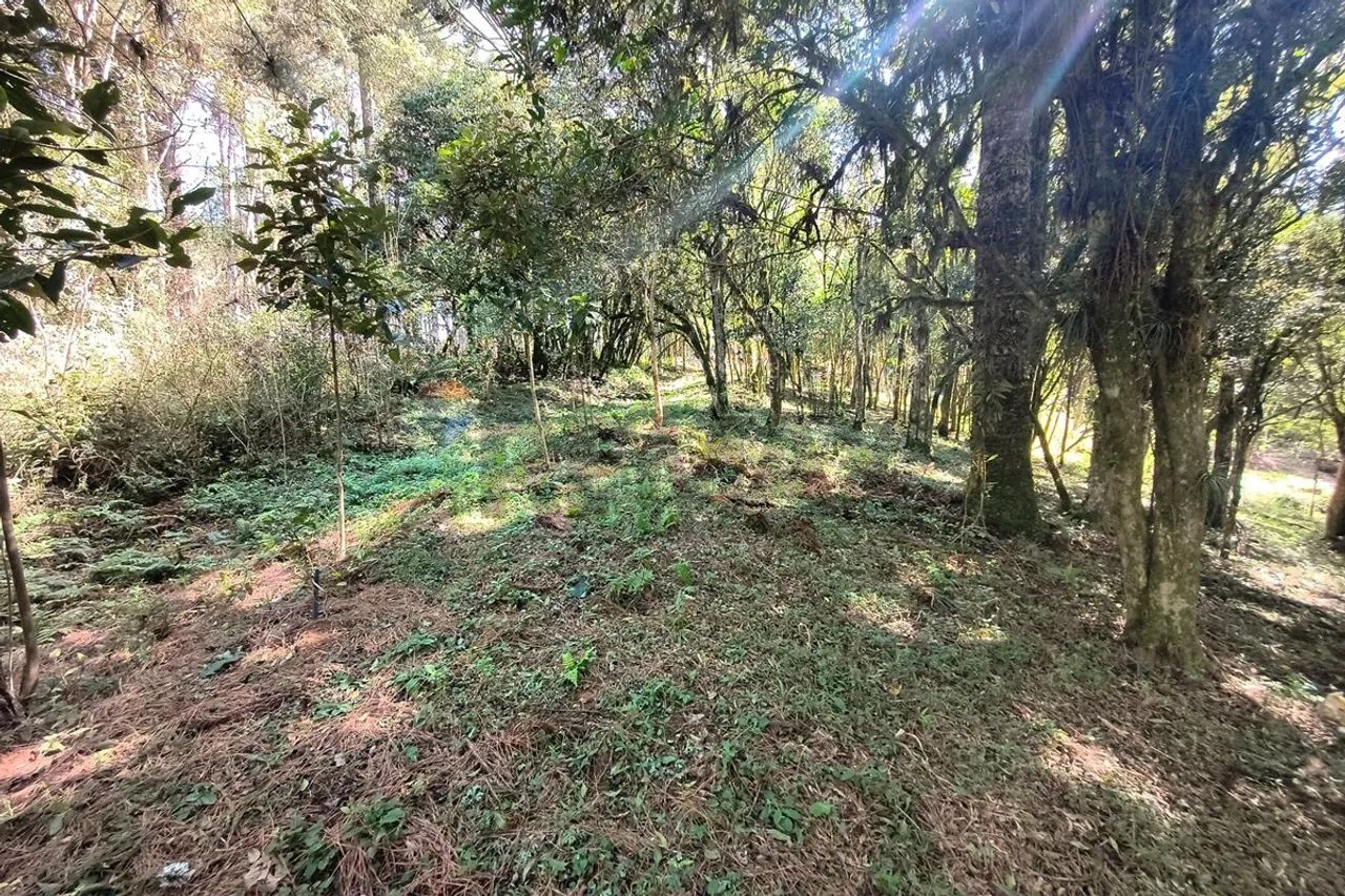 Chacara em Mandirituba - Foto 5