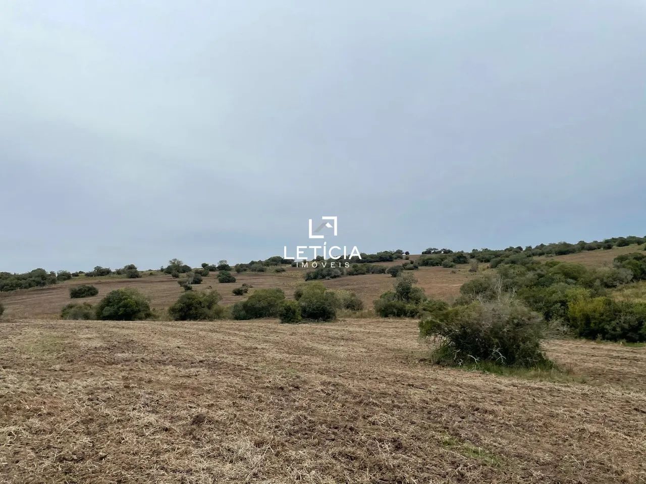 Campo de Pecuária!!! - Foto 4