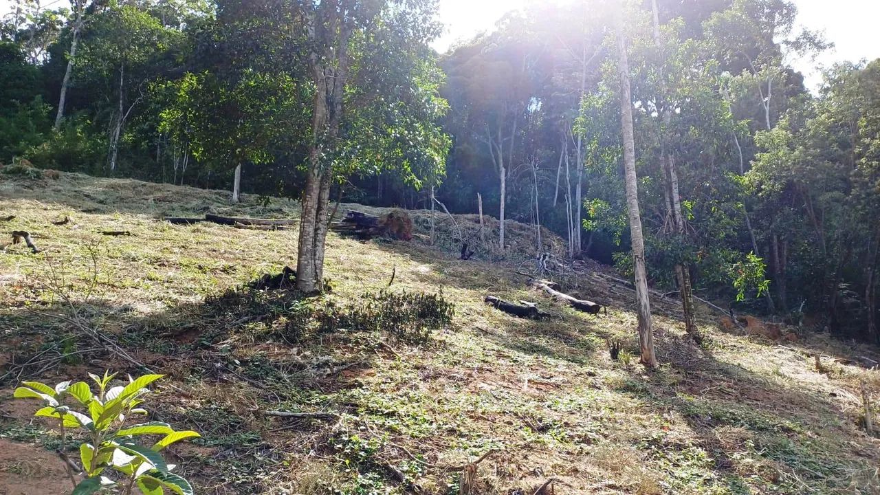 Lote / Terreno à venda em Marechal Floriano - Foto 2