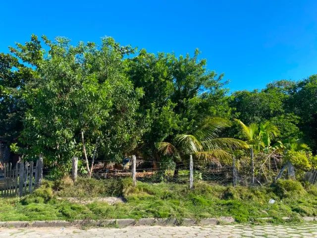 Terreno 20x7 no Bairro São José 