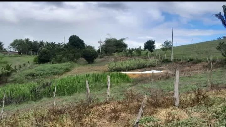 Sitio a venda  - Foto 5