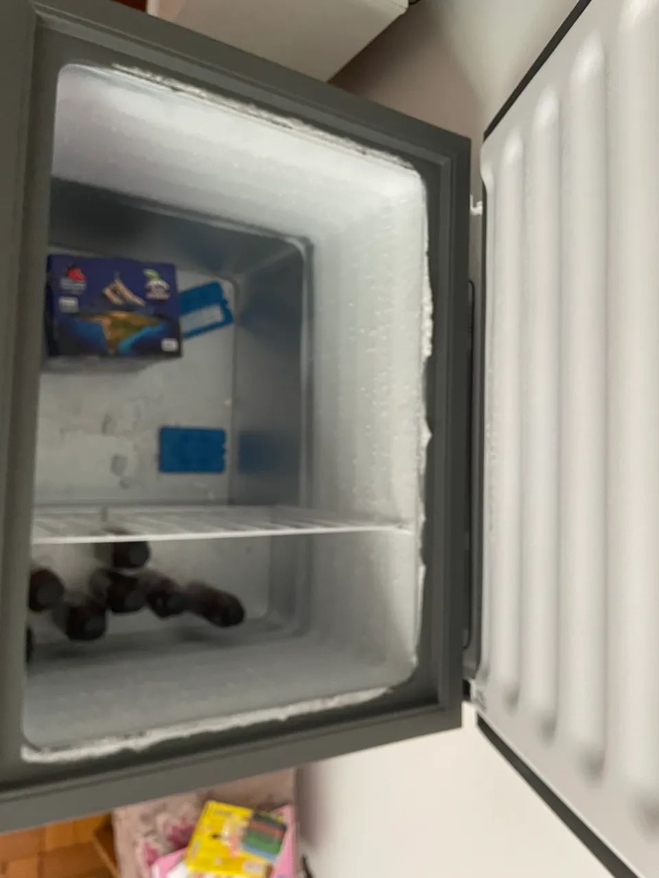 FREEZER 309L - Foto 3