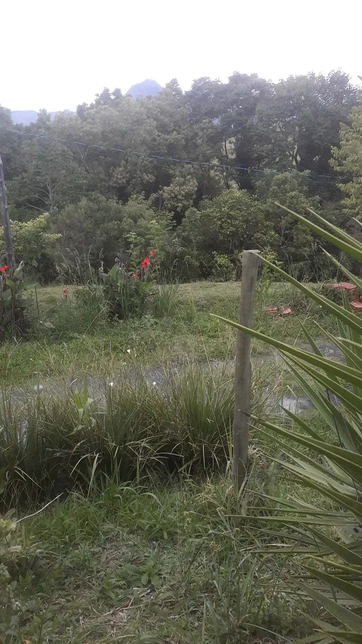 Sítio próximo à cidade  - Foto 4