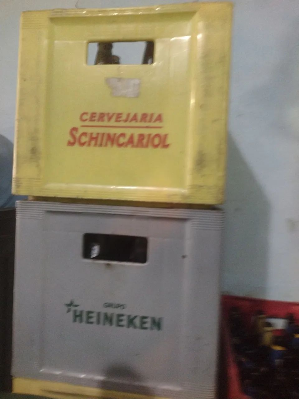 Cerpa e diversos - Foto 2