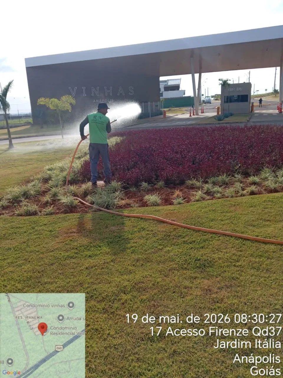 Jardinagem em geral, Locação  - Foto 4