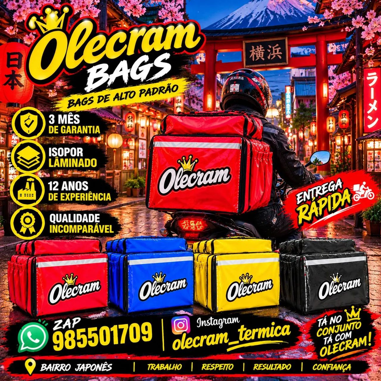 bags pra entrega de pizza 