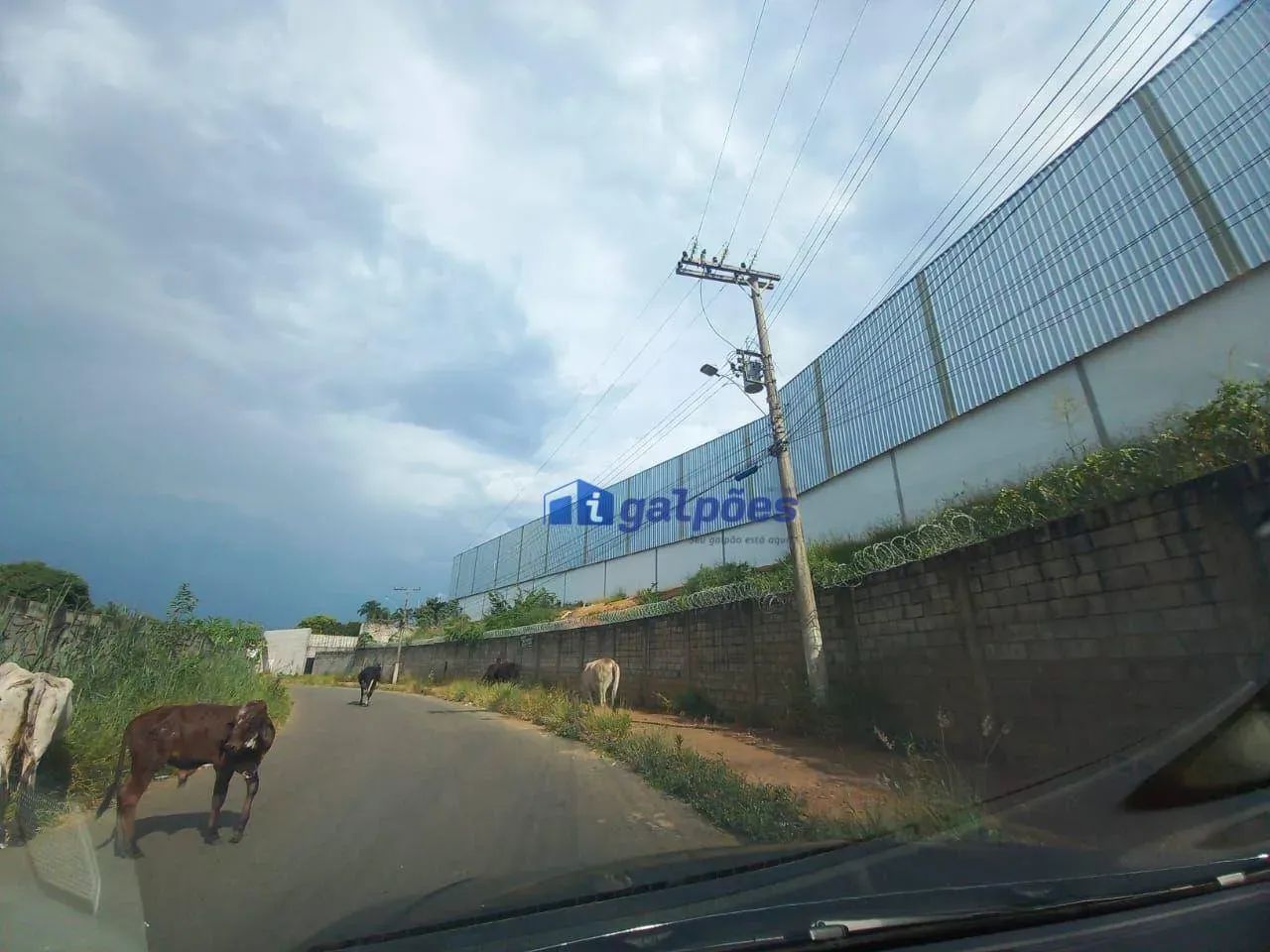 Galpão com 2000 m ² em - Jardim Encantado - São José da Lapa/MG - Foto 4