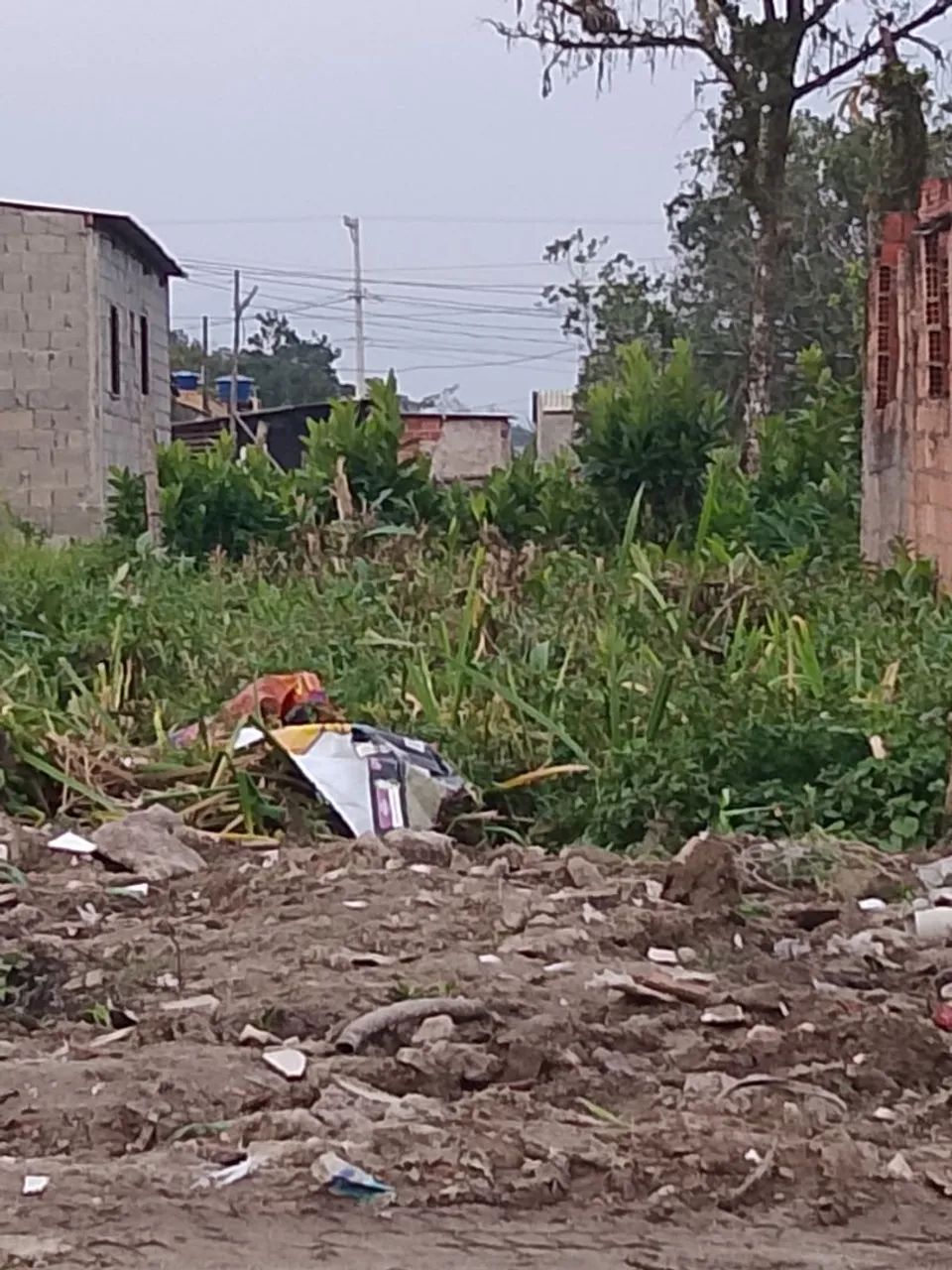 Foto - Mongaguá - Flórida Mirim