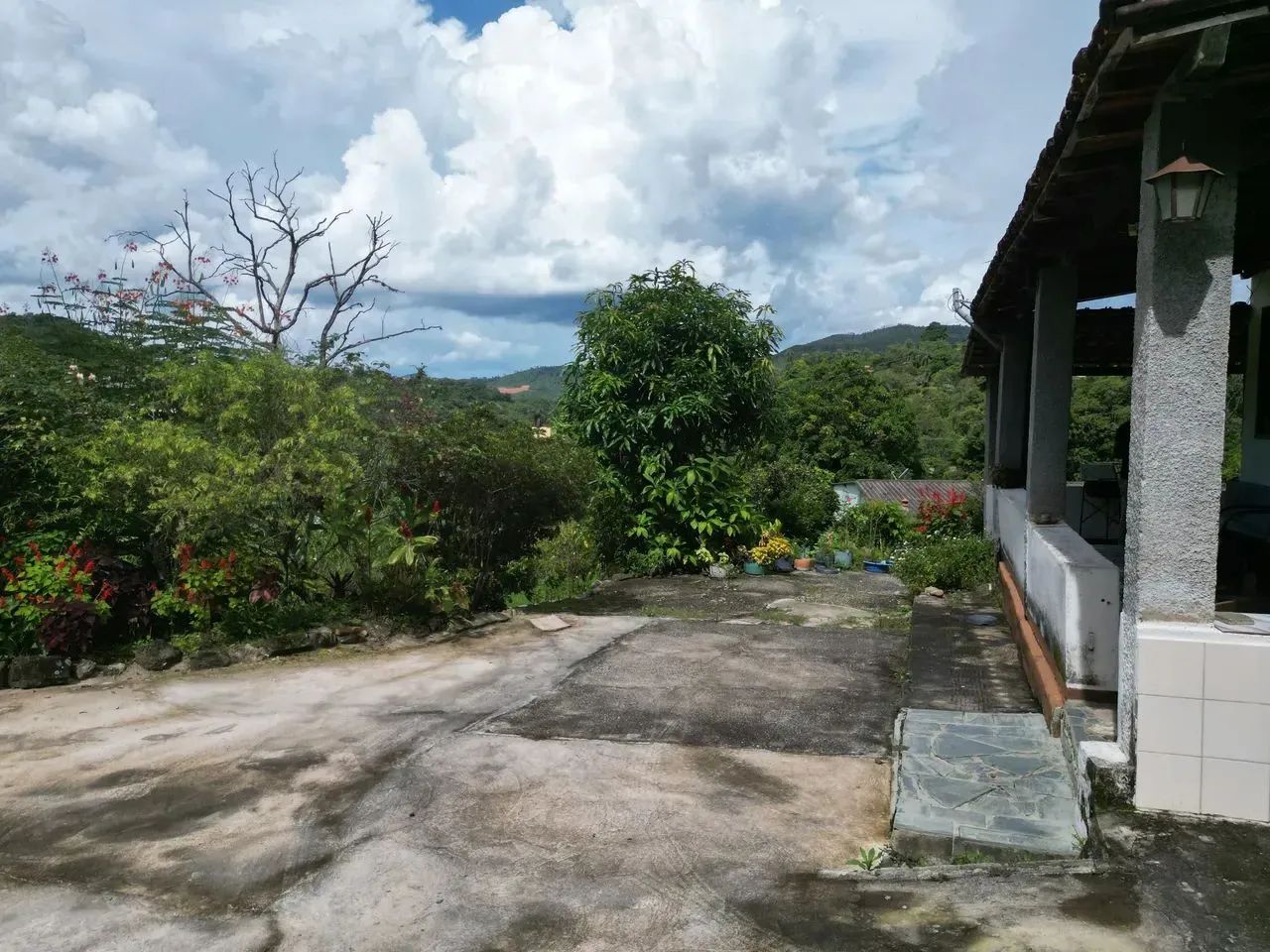 Oportunidade em Ravena: O Refúgio de Vó com Pomar Completo a 25 km de BH! - Foto 8