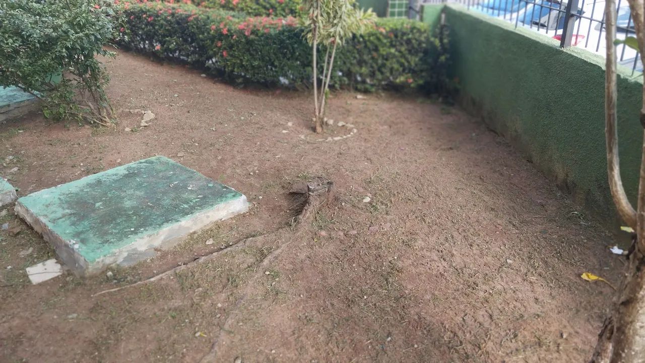Jardinagem roçagem  - Foto 3