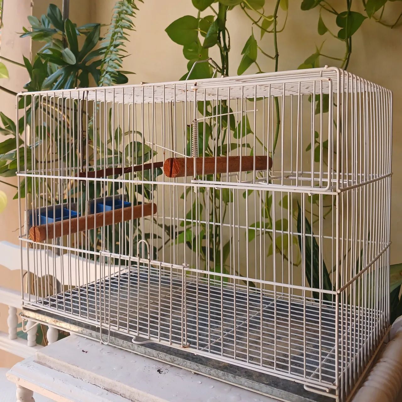 Viveiro pássaro  - Foto 3