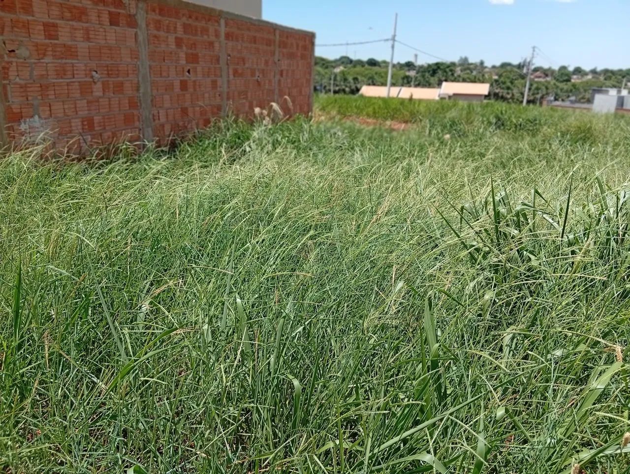 Terreno loteamento epark esquina  - Foto 4