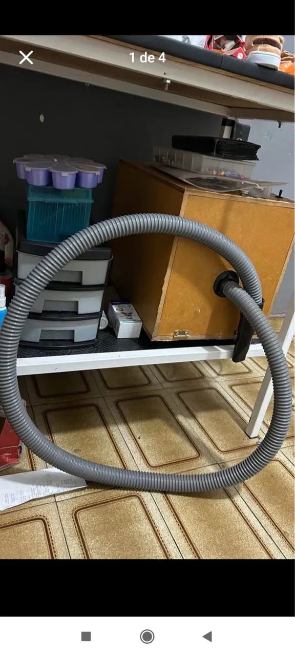 Banho e tosa  - Foto 2