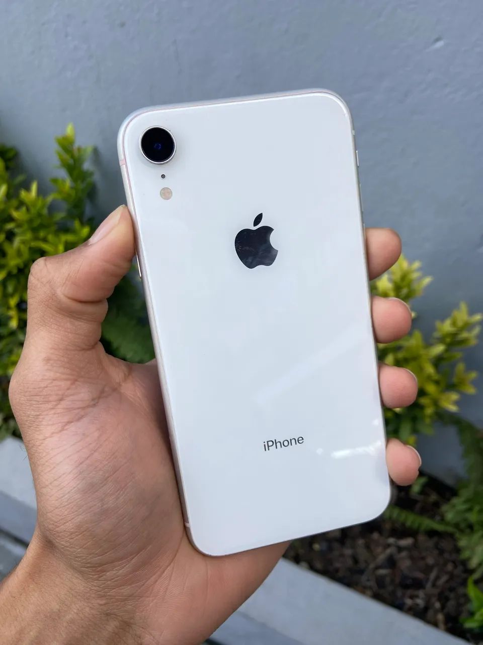 iPhone XR 128gb - Celulares e Smartphones - Piedade, Jaboatão dos