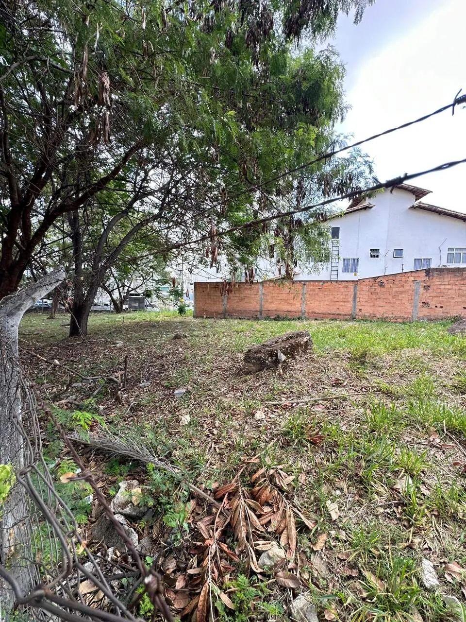 Lote para locação. - Foto 3