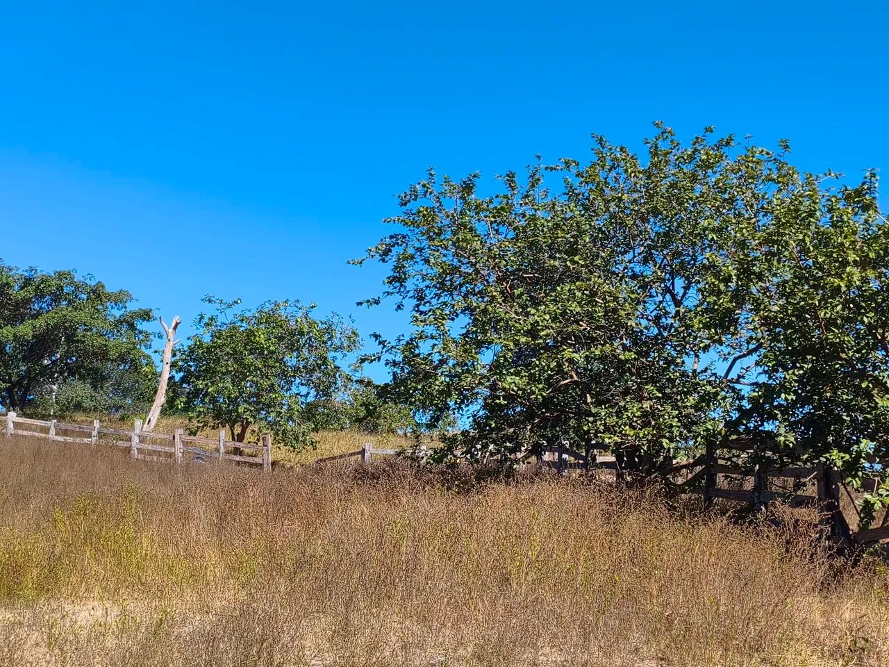 Fazenda em Uruaçu  - Foto 4