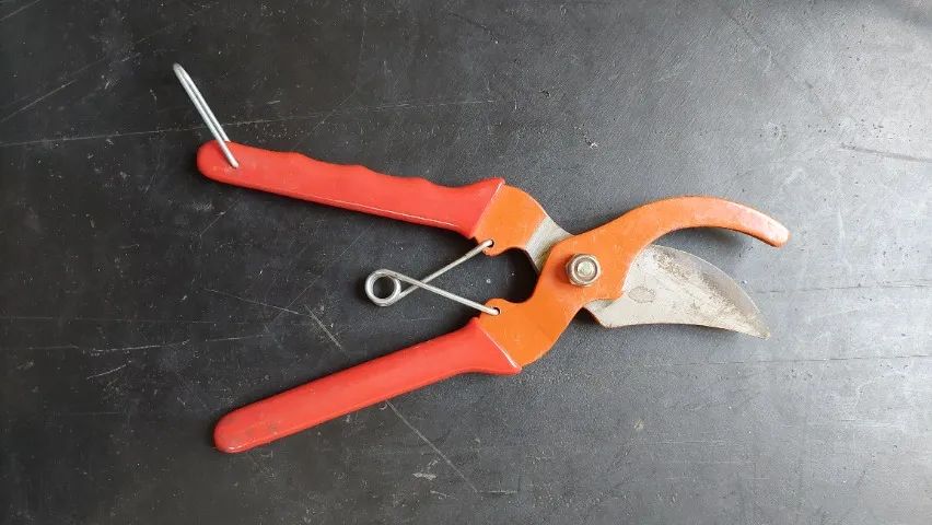 Tesoura de poda (21 cm) - Foto 3