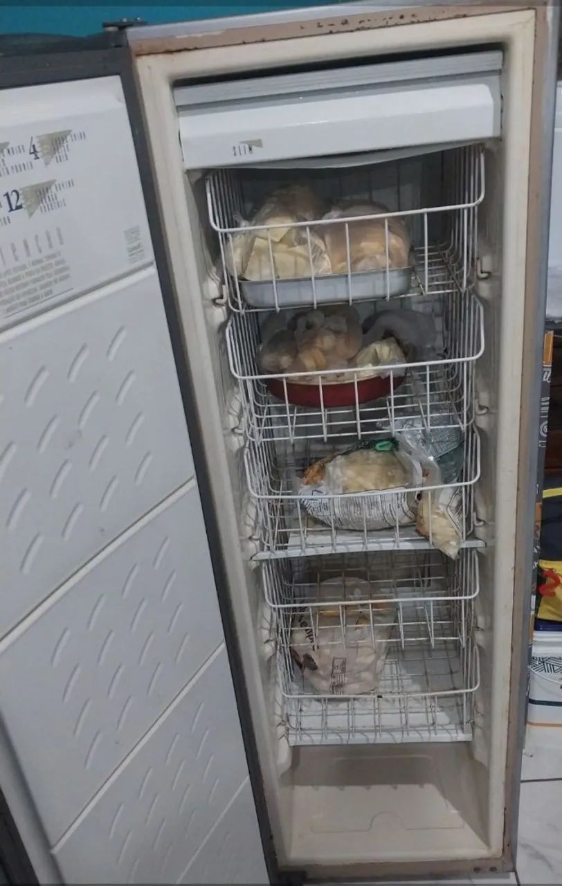 Freezer vertical consul  - Foto 2