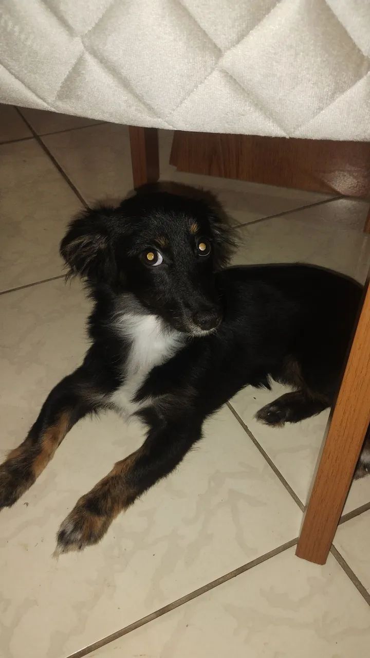 Doação  - Foto 2