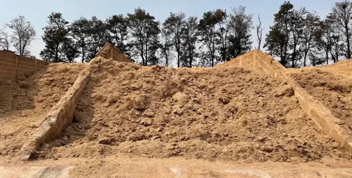 BAGAÇO DE CANA COM MELAÇO  - Foto 3