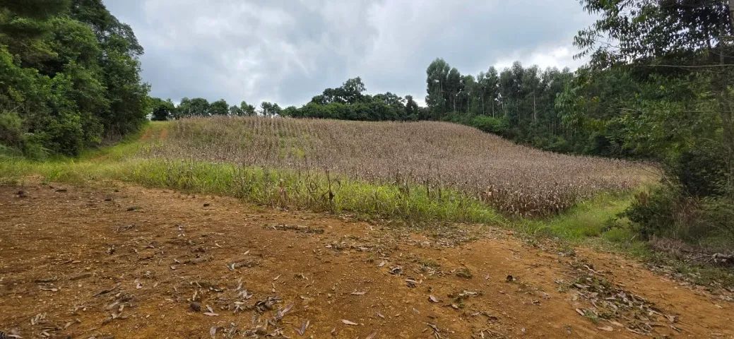 Chácara em Contenda 30,250m2 - Foto 3