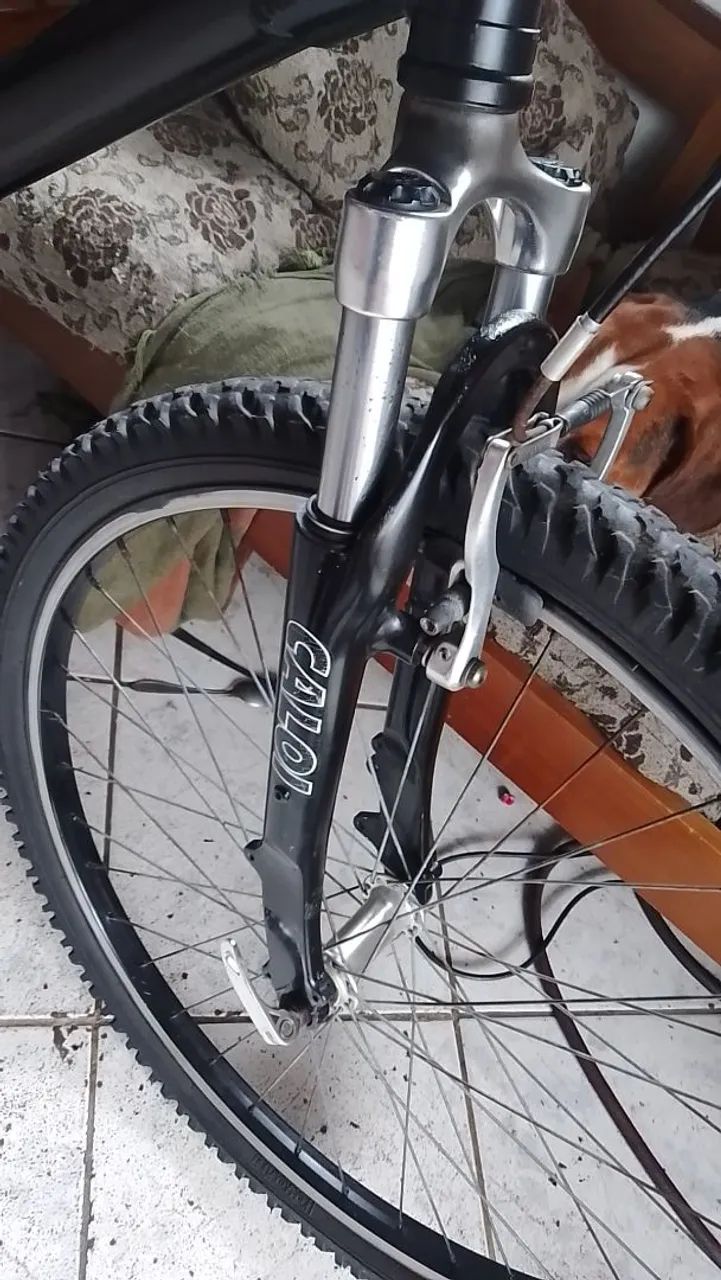 Baik  - Foto 3