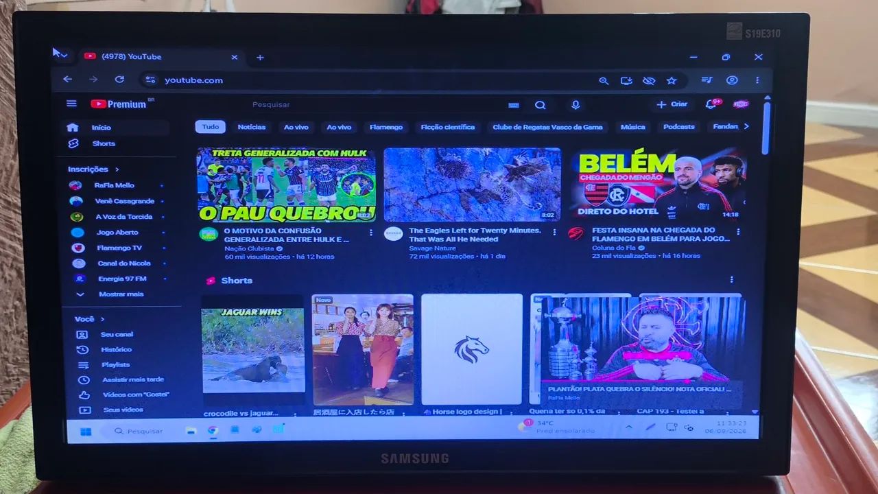 Monitor Samsung S19E310