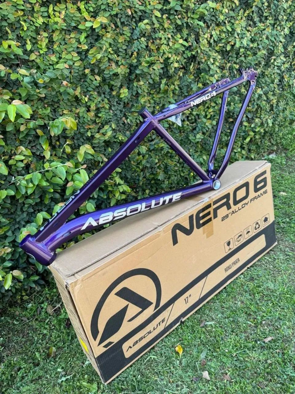 Quadro Nero 6 lançamento 
