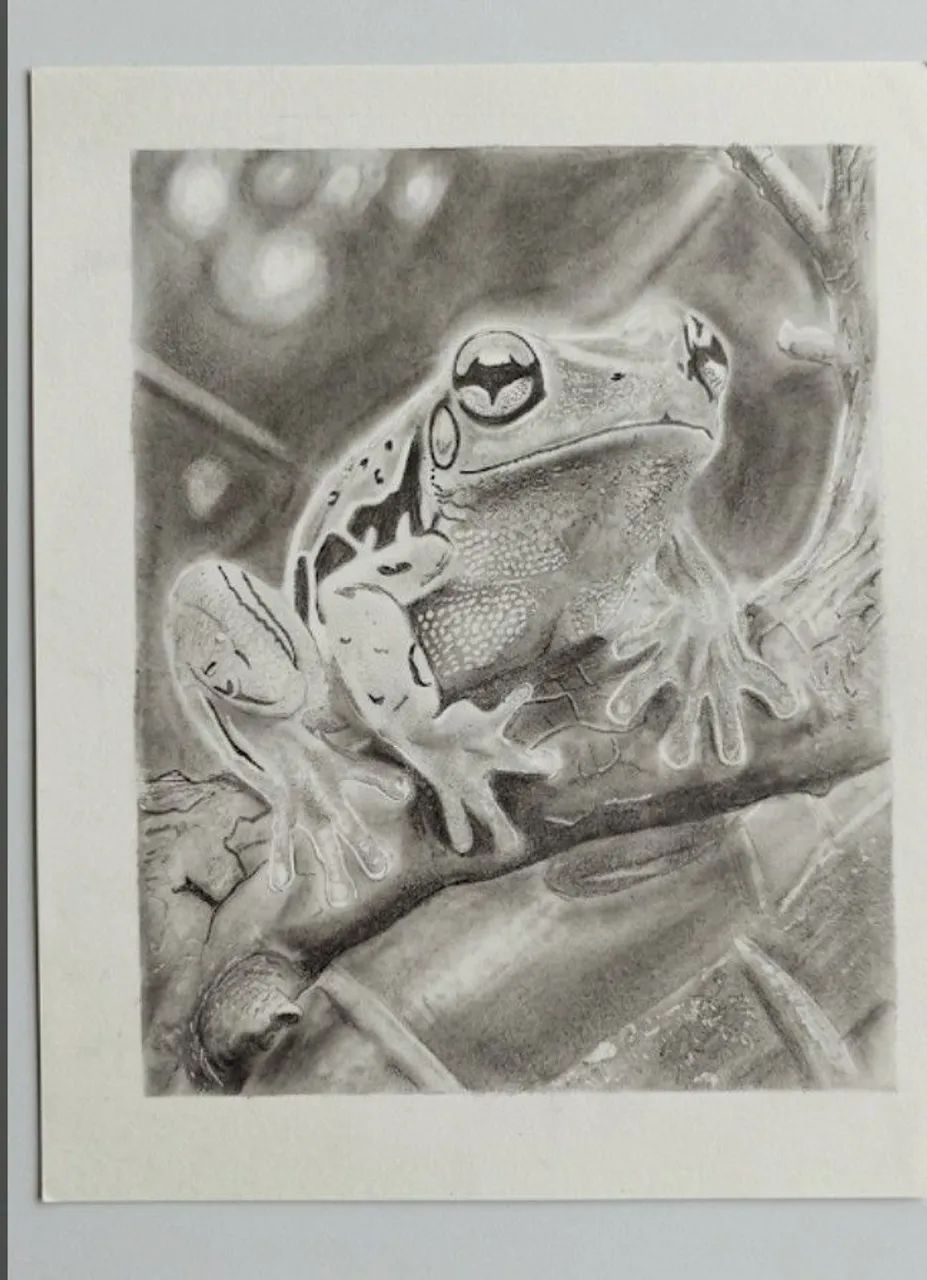 Desenho realista 50 reais  - Foto 2
