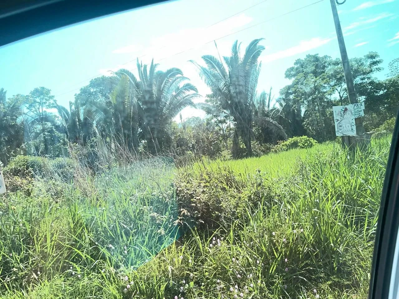 Sítio  - Foto 5