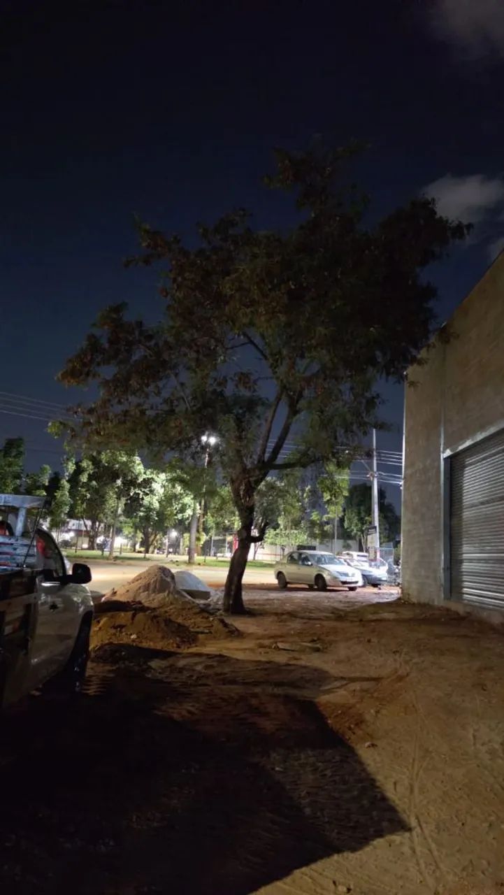 Trabalho com jardinagem gerais