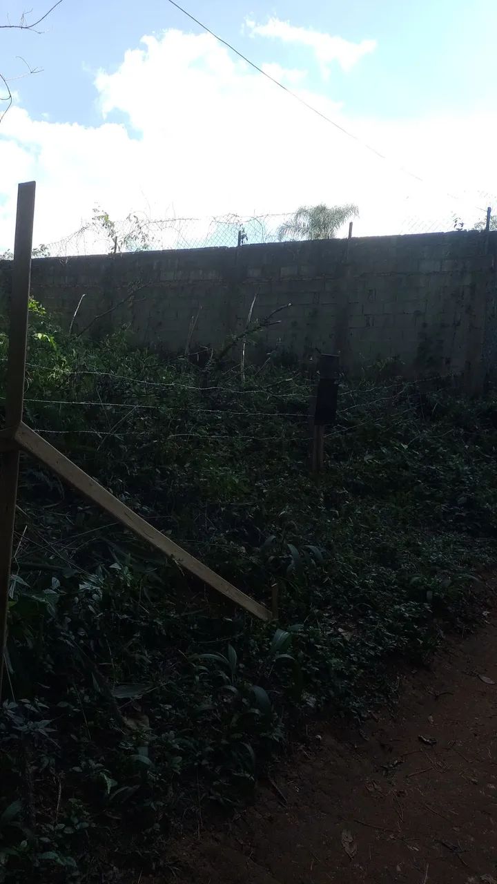 Terreno - Foto 4