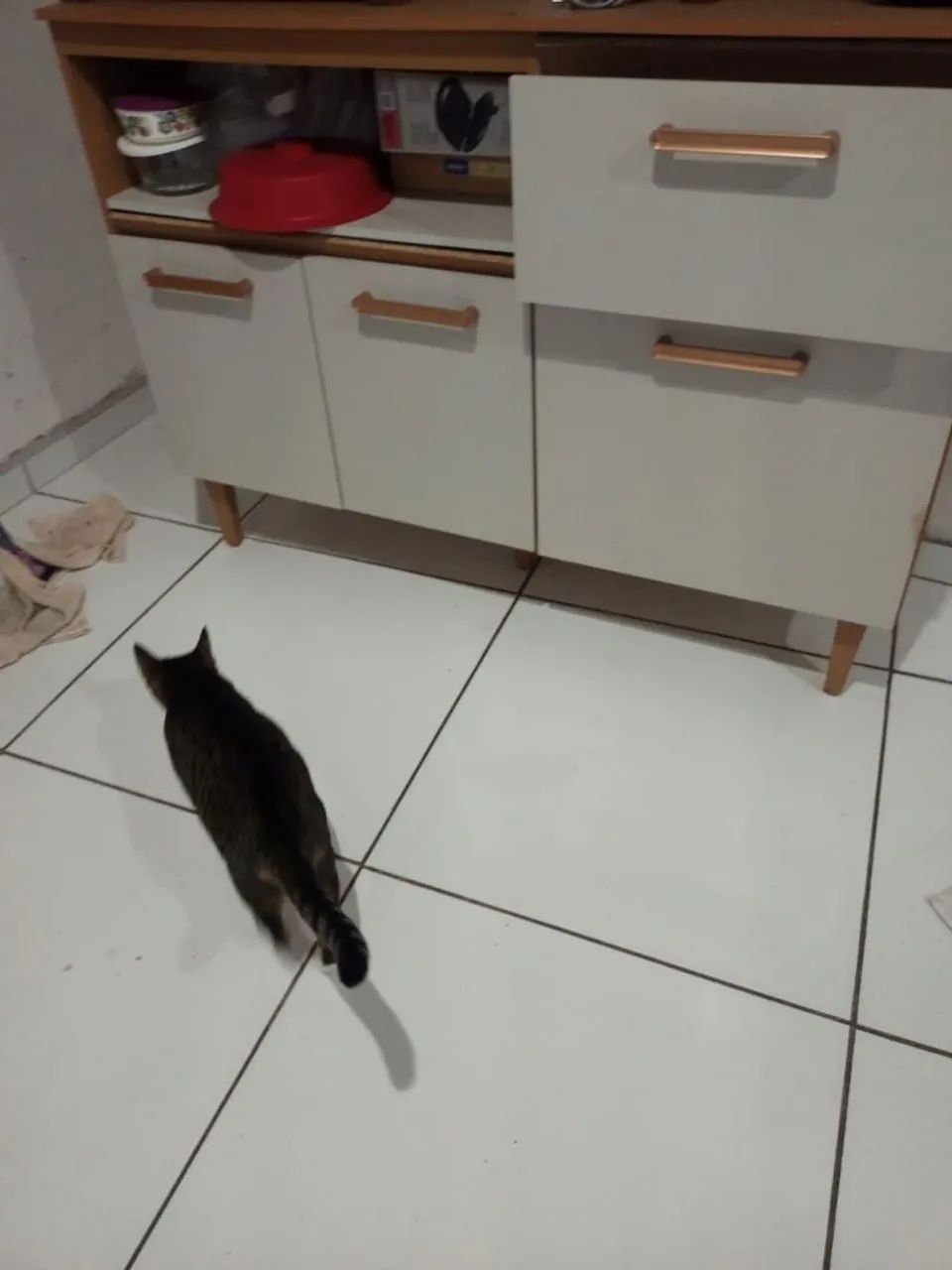 Conjunto de cozinha - Foto 4